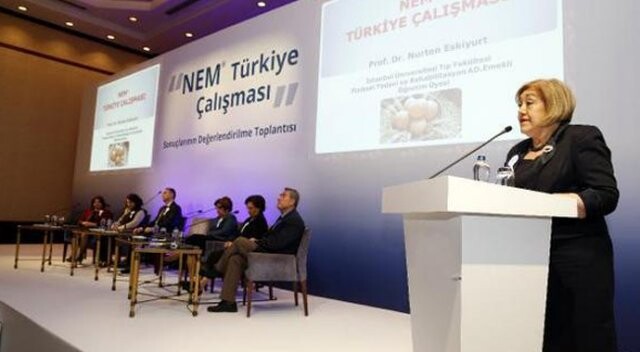 NEM-Türkiye çalışması bilim dünyasına anlatıldı