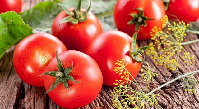 Rusya, 3 Türk şirkete  domates izni verecek