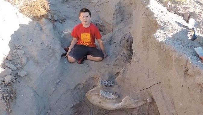 ABD&#039;li çocuk, 1 milyon yaşında fosil buldu