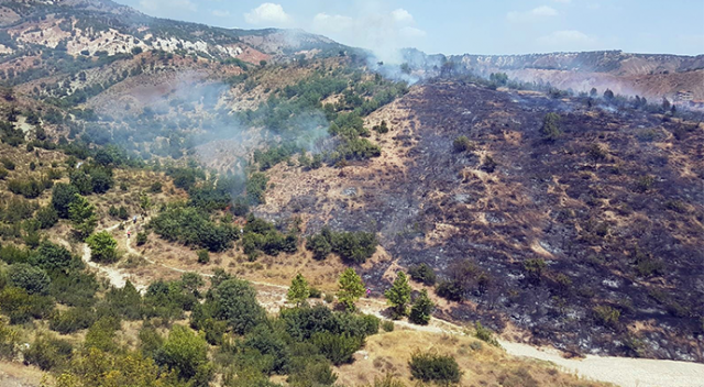 Ankara&#039;da orman yangını