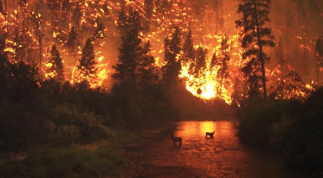 Batı Akdeniz illerine &#039;orman yangını&#039; uyarısı