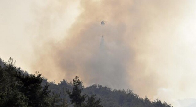 Hatay&#039;daki orman yangını