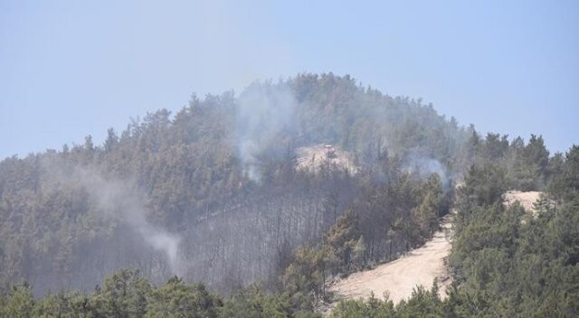 İzmir’deki yangında orman işçisi dumandan etkilendi
