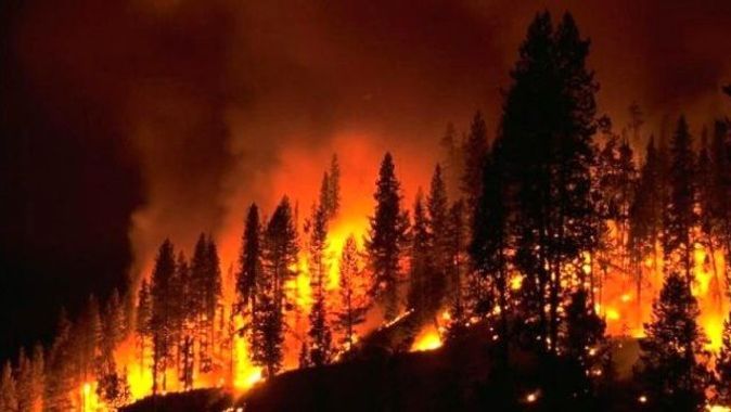 Orman yangılarına &#039;insansız&#039; gözlem