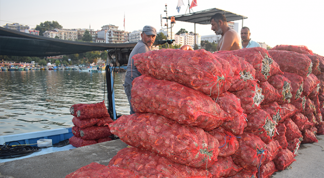 Salyangoz, Karadenizli balıkçıların gelir kaynağı oldu