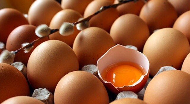 Bakanlık devrede, yumurtalara zehir analizi yapılacak