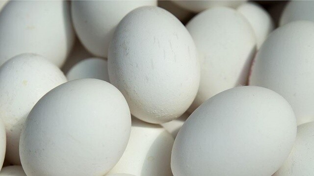 Belçika&#039;da da &#039;böcek ilaçlı yumurta&#039; çıktı