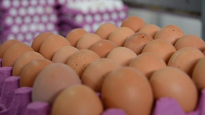 Böcek ilaçlı yumurtalara Macaristan&#039;da da rastlandı