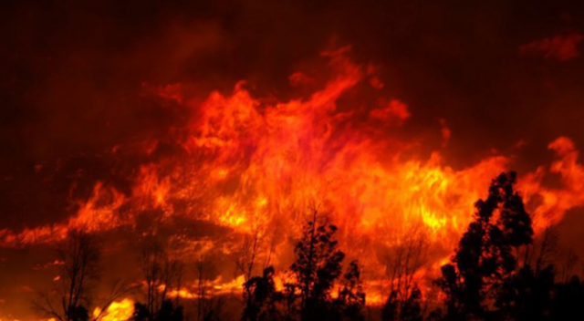 Çanakkale&#039;de orman yangını