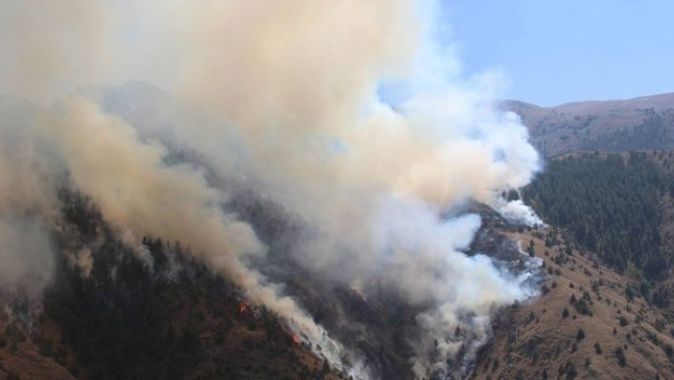 Erzurum’da orman yangını: 20 hektar alan kül oldu
