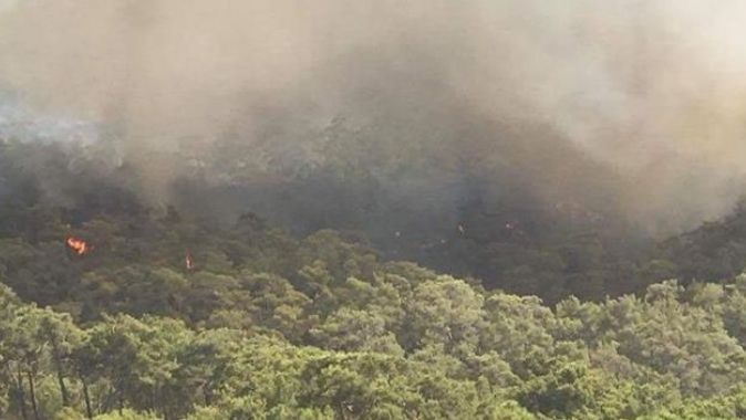 Fethiye&#039;de orman yangını! Alevler her geçen dakika büyüyor