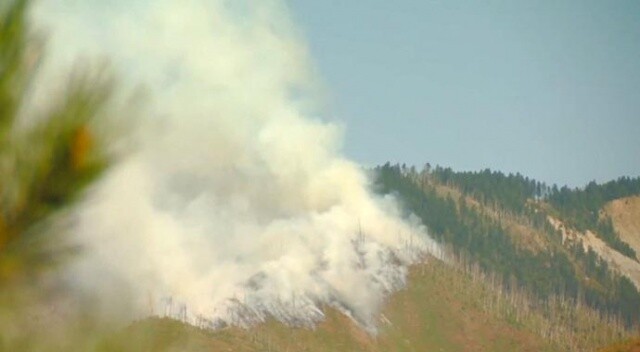 Gürcistan’daki yangın devam ediyor