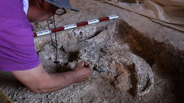 Karain Mağarası&#039;nda 350 bin yıllık kemik parçaları bulundu