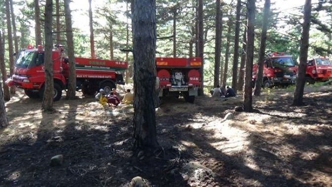 Kazdağları&#039;na yıldırım düştü, orman yangını çıktı