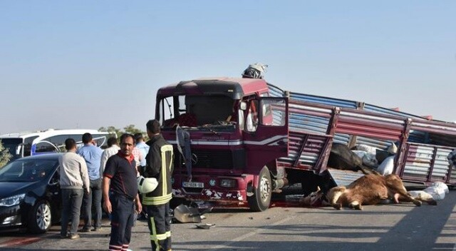 Konya&#039;da feci kaza: 3 kurbanlık telef oldu, 6 yaralı var