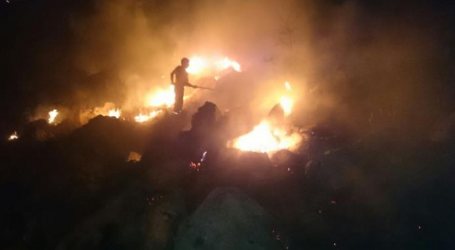 Malatya&#039;da orman yangını kontrol altına alındı