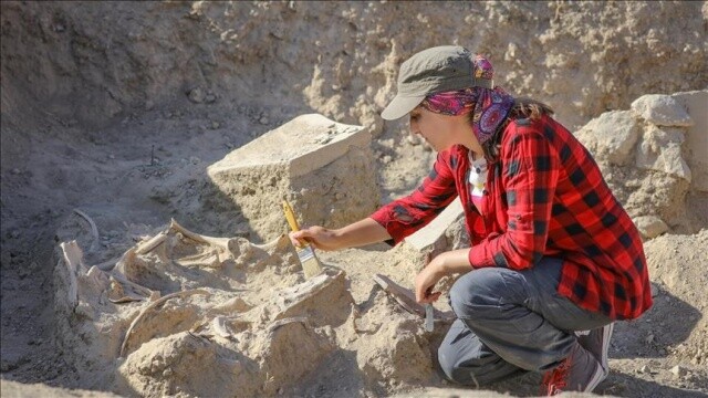 Van&#039;da 2 bin 800 yıllık at iskeleti bulundu