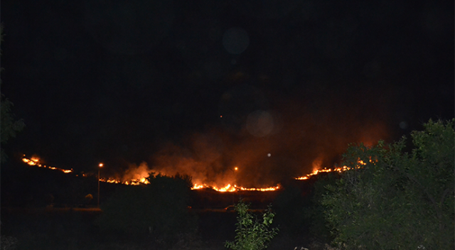 Adana&#039;da makilik alanda yangın