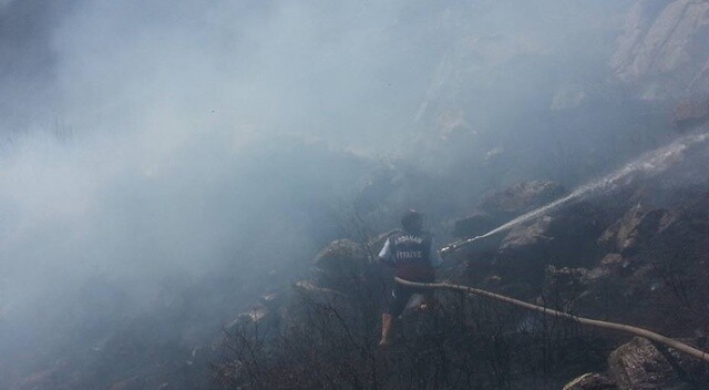 Ardahan&#039;daki orman yangını kontrol altına alındı