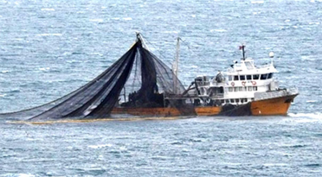 Bin metrelik ağ serdi 1 balık yakaladı