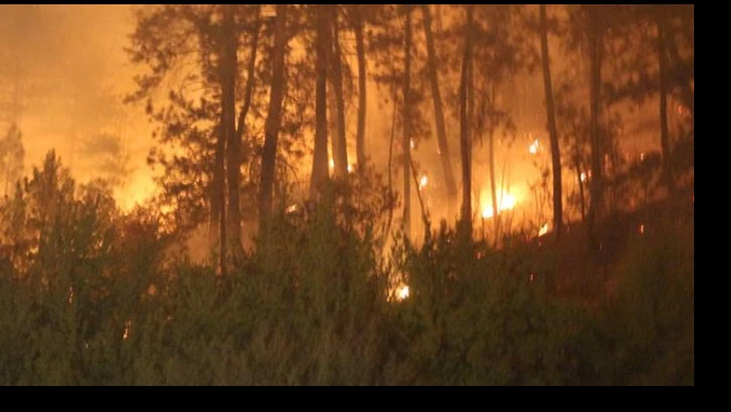 Bolu&#039;da orman yangını: 50 hektarlık alan kül oldu