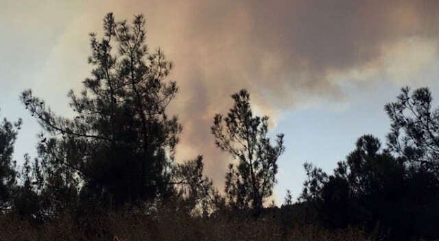 Bolu’da orman yangını tekrar başladı