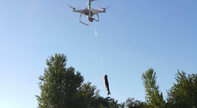 Dicle&#039;de drone ile balık avladılar!