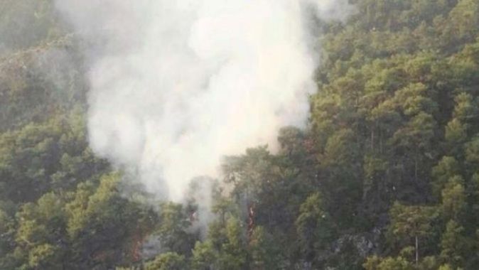 Fethiye&#039;deki yangında 2 dönüm çam ormanı zarar gördü