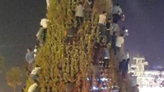 Hadise konserinde Adanalılar çam ağaçlarına tırmandı