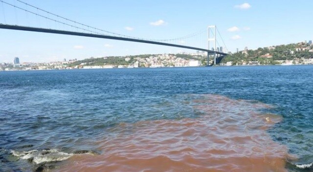İstanbul Boğaz&#039;ı kana büründü
