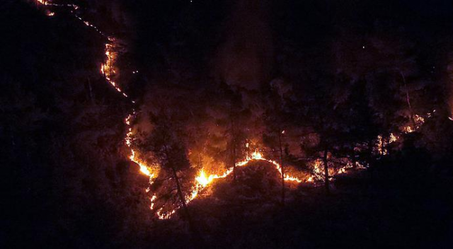 Karabük&#039;teki orman yangını kontrol altına alındı
