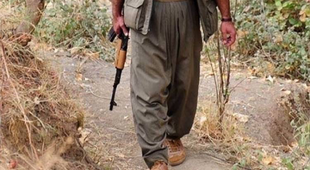 Karacehennem ormanlarında PKK&#039;ya darbe