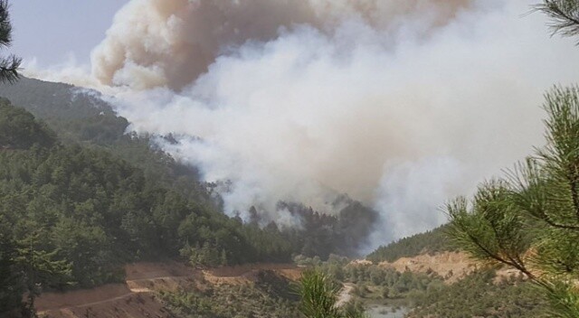 Kütahya&#039;da ikinci orman yangını