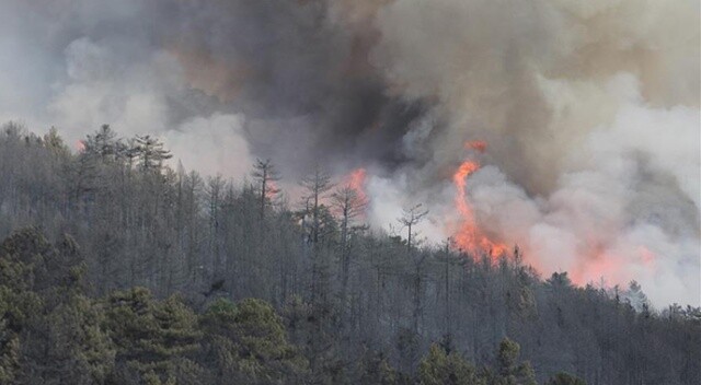 Kütahya&#039;daki orman yangını tekrar başladı