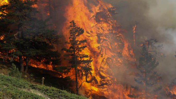 Kütahya&#039;daki orman yangınını söndürme çalışmaları sürüyor