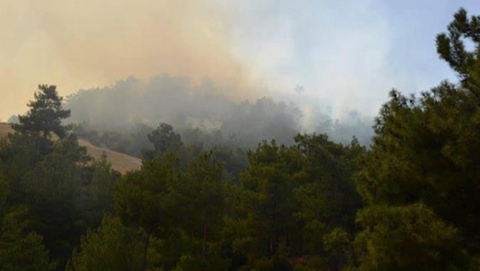 Manisa&#039;da orman yangını: 80 dönüm zarar gördü