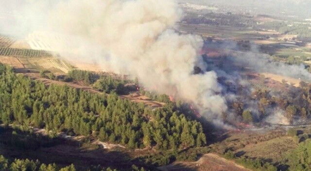 Muğla&#039;daki orman yangınında 5 dönüm alan yandı