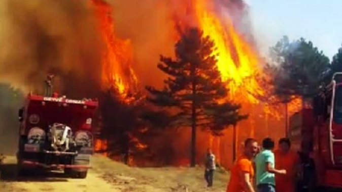Sakarya&#039;da 10 hektarlık ormanlık alan yandı