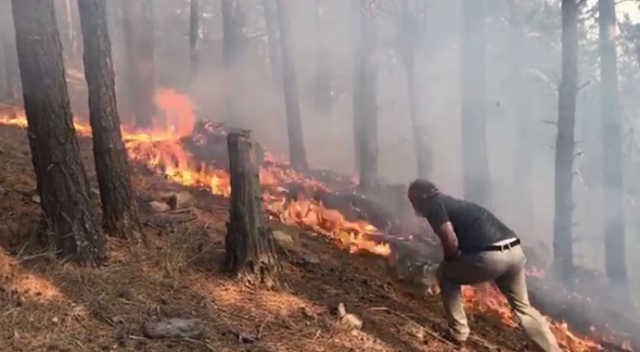 Sarıkamış’ta orman yangını söndürüldü