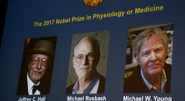 &#039;Nobel Tıp Ödülü&#039; sahibini buldu