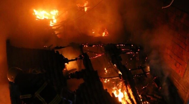Aydın&#039;daki yangında iki ev kül oldu
