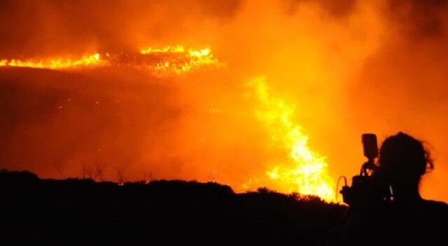 Bodrum&#039;daki yangında 4 hektar alan kül oldu