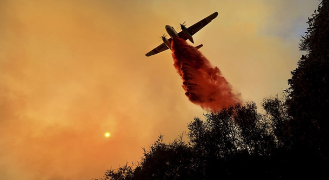 Kaliforniya&#039;da büyük yangın! 31 kişi öldü, yüzlerce kişi kayıp