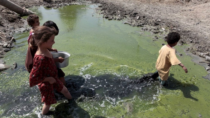 Kolera, Yemen&#039;i sardı