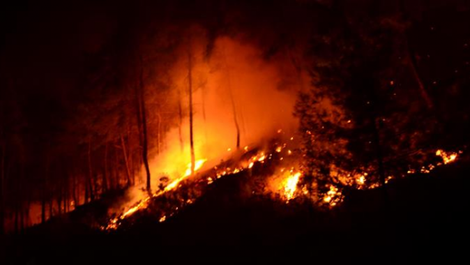 Manavgat&#039;ta 4 ayrı yerde yangın