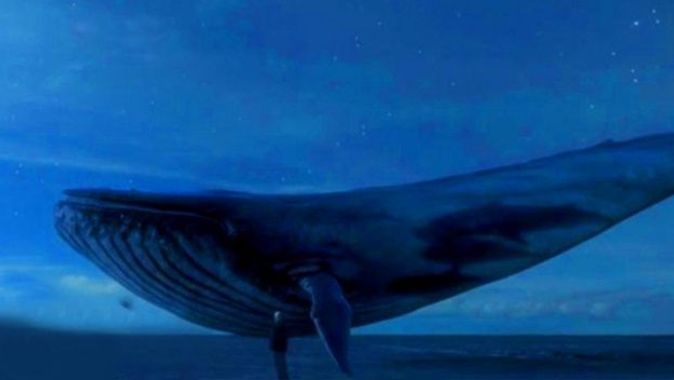 Mavi balina oyunu 130 genci öldürdü!