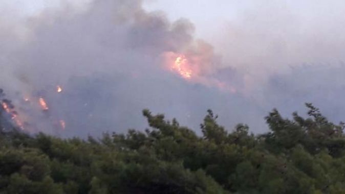 Datça&#039;da orman yangını çıktı