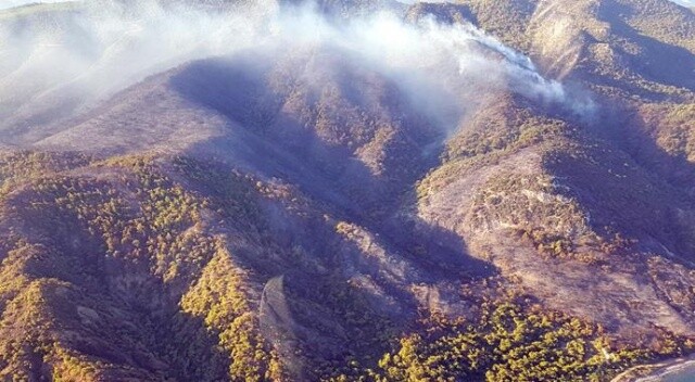 Datça&#039;daki orman yangının kundaklama şüphesi
