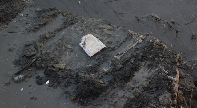 Esenyurt&#039;ta lüks sitelerin arasında bebek cesedi bulundu