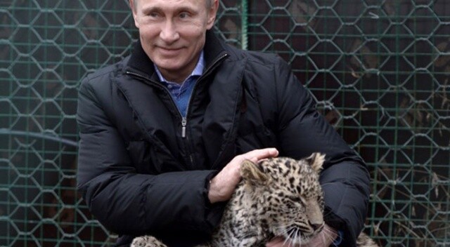 Putin’in leoparı yakalandı